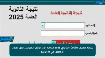 نتيجة الصف الثالث الثانوي 2025 متاحة الآن برقم الجلوس قبل إعلان الأوائل في 21 يوليو
